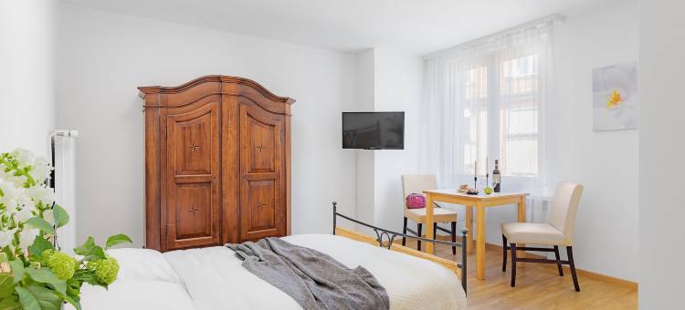 大学瑞士之星公寓酒店(Swiss Star Zurich University - Self Check-IN)图片