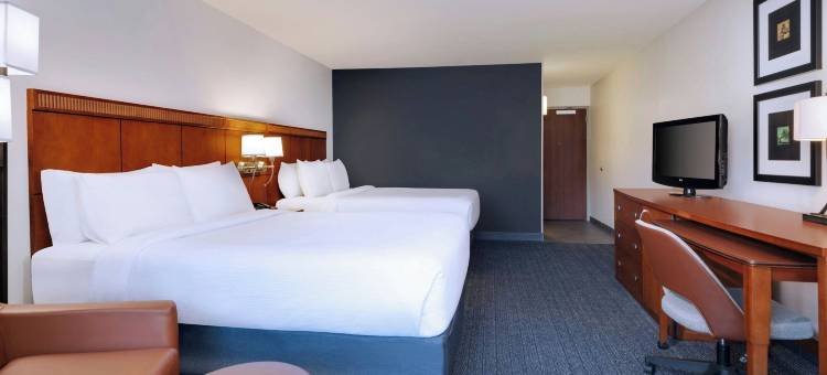 坦帕北弗莱彻I-75万怡酒店(Courtyard Tampa North/I-75 Fletcher)图片