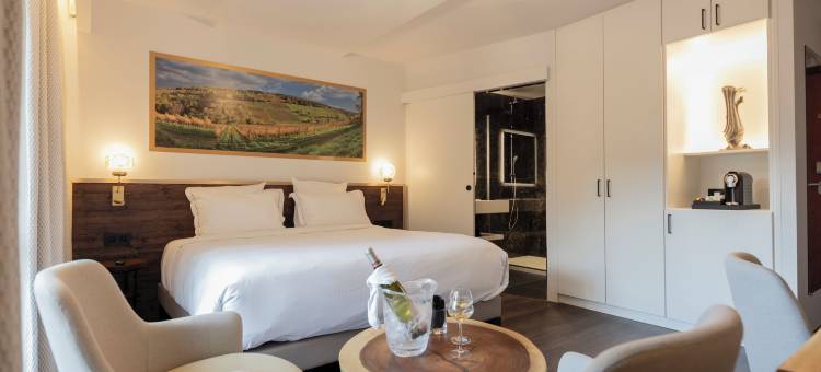 河谷贵族酒店(Hôtel Restaurant la Vallée Noble, Proche Eguisheim Colmar)图片