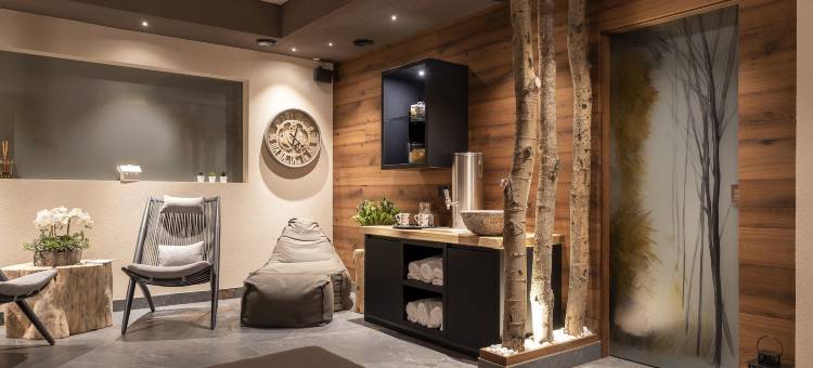 X 阿尔普酒店(X Alp Hotel)图片