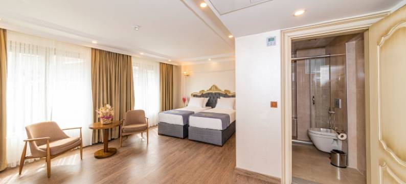 伊斯坦布尔阿尔玛迪娜酒店(Al Madina Hotel)图片