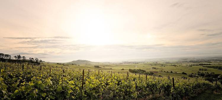 钓鱼藤水疗中心酒店(Pêche de Vigne & Spa)图片