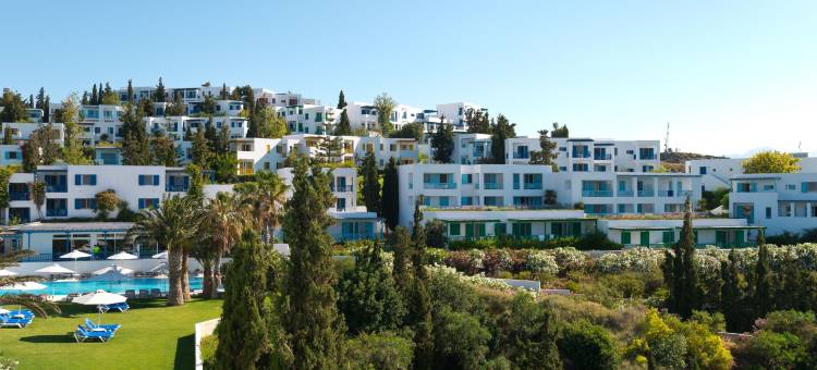 达戴劳斯罗宾逊(Robinson Daidalos)图片