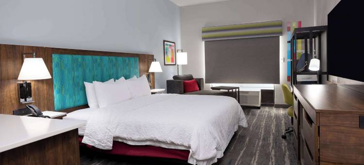 阿尔普哈雷塔罗兹韦尔欢朋套房酒店(Hampton Inn & Suites by Hilton Alpharetta Roswell)图片