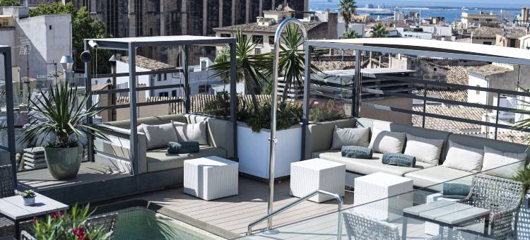 帕尔马套房酒店(Palma Suites)图片