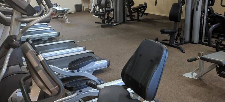 棕榈泉沙漠岛(Desert Isle of Palm Springs)图片