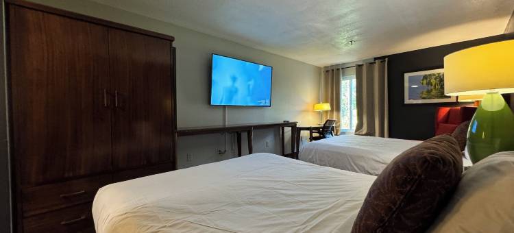 豪华酒店(Lux Hotel)图片