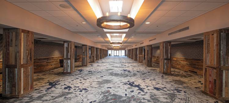 圣路易斯西南假日酒店 - 66号公路(Holiday Inn St Louis SW - Route 66)图片