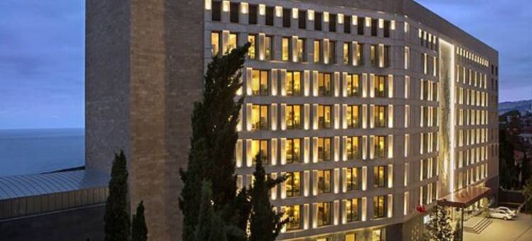 特拉布宗希尔顿逸林酒店(DoubleTree by Hilton Trabzon)图片