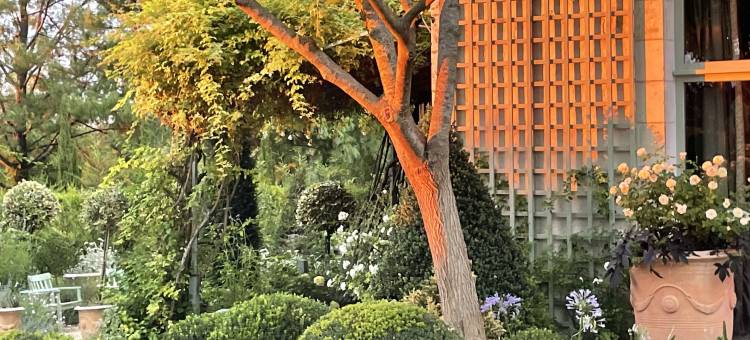 高级时装花园(Jardins Haute Couture)图片