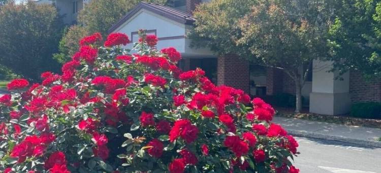 州立学院温德姆速8酒店(Super 8 by Wyndham State College)图片