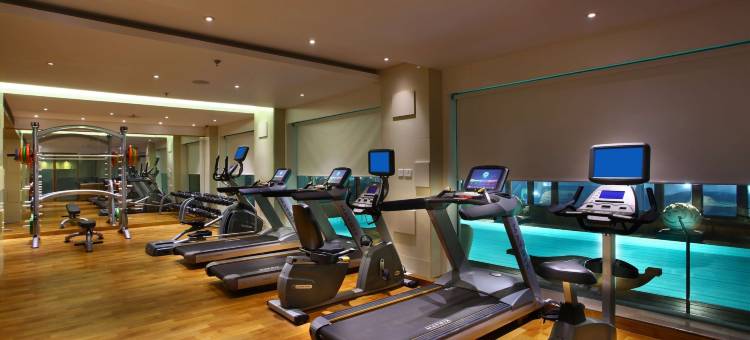 德里 CBD 沙赫德拉丽亭酒店(Park Plaza Delhi CBD Shahdara)图片