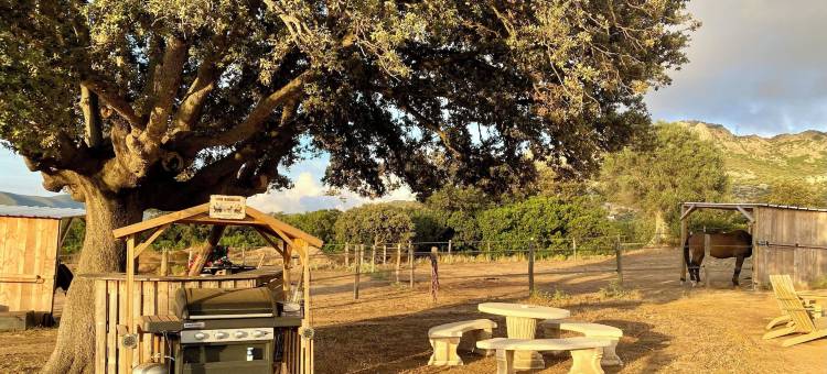 泰萨小木屋(Les Chalets de Tesa)图片