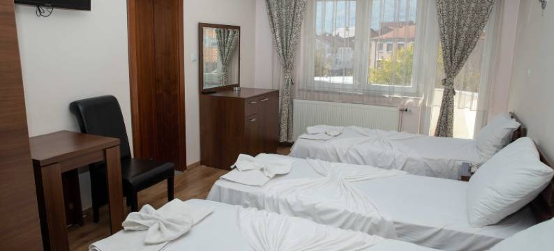 里奥酒店(Hotel Leo)图片