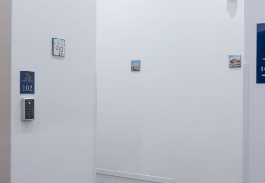 Serena Palace Superior Rooms Hotel Overview