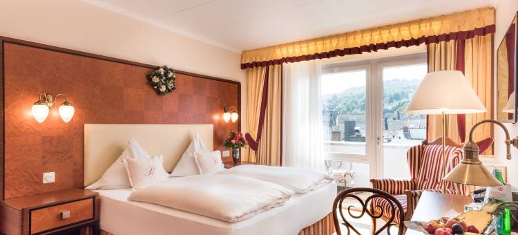 贝尔维尤莱恩酒店(Bellevue Rheinhotel)图片