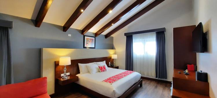 圣米格尔民宿精品 SPA 酒店(Casa San Miguel Hotel Boutique y Spa)图片