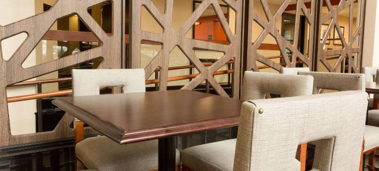 圣路易斯机场德鲁里套房酒店(Drury Inn & Suites St. Louis Airport)图片