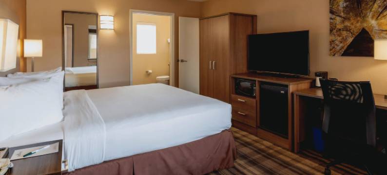 博尔德大学汽车旅馆(Boulder University Inn)图片