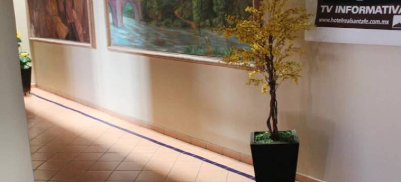 圣大菲酒店(Hotel Real Santa Fe)图片