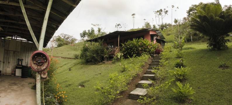 卡巴纳斯科利布里塔尤提克(Cabañas Colibrí Tayutic)图片