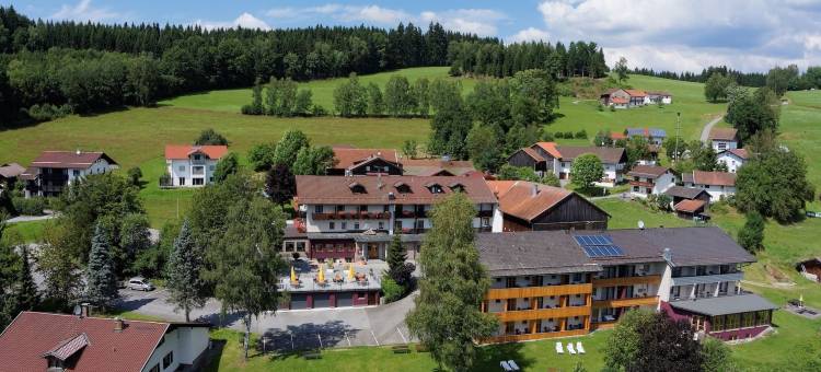 德鲍姆酒店(Hotel der Bäume)图片