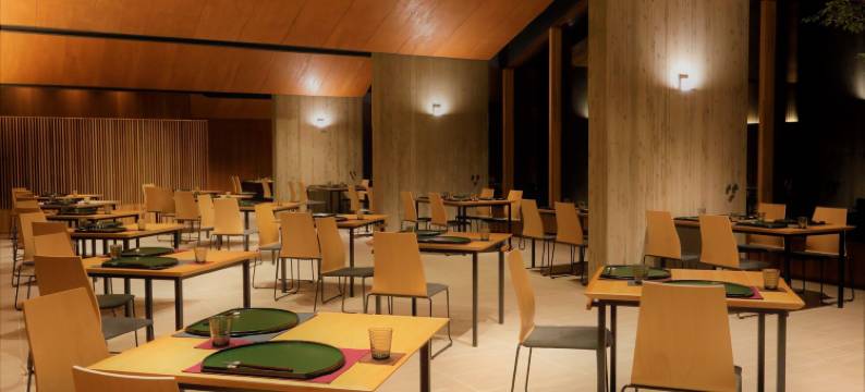 旧轻井泽里贾纳度假村(Regina Resort Kyukaruizawa)图片