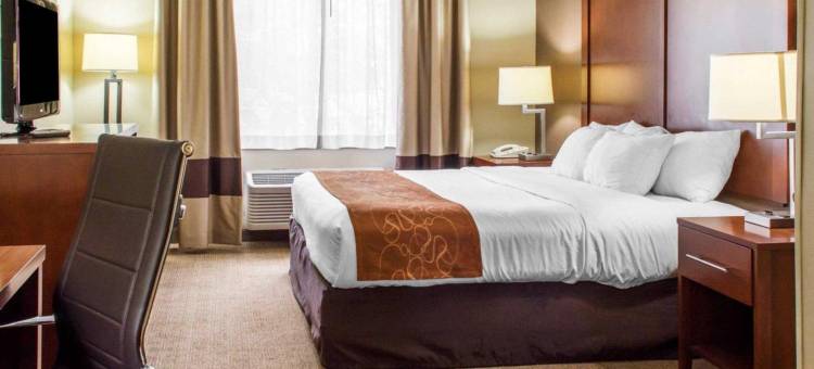 凯艺套房酒店(Quality Suites)图片