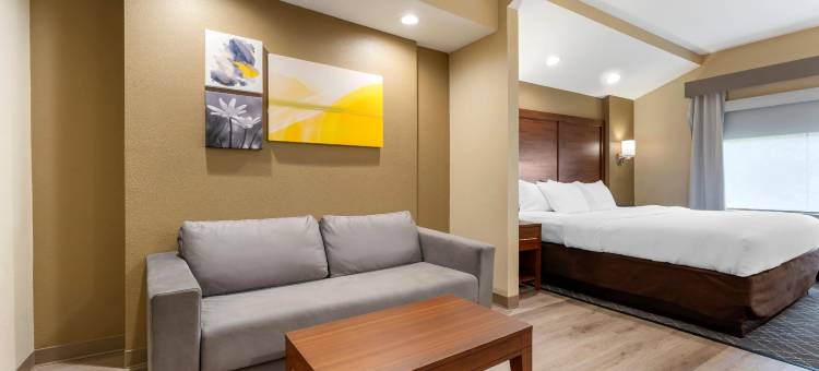 舒适套房酒店(Comfort Suites)图片