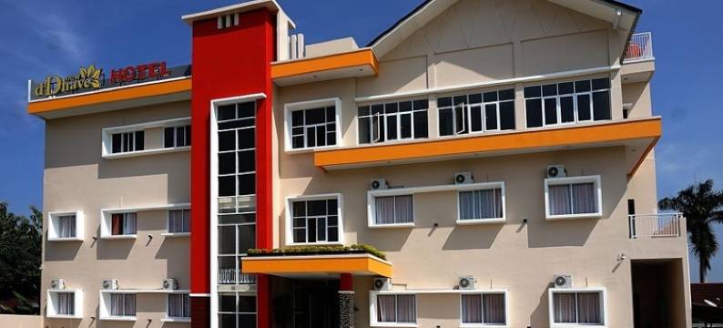 新达夫酒店(New d'Dhave Hotel)图片