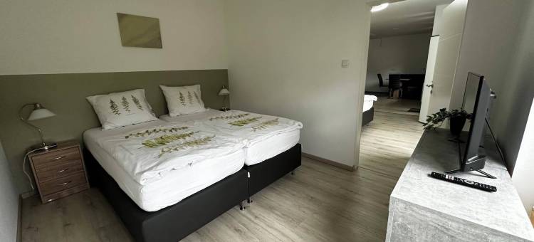 维基恩公寓(Haus Wijnen)图片