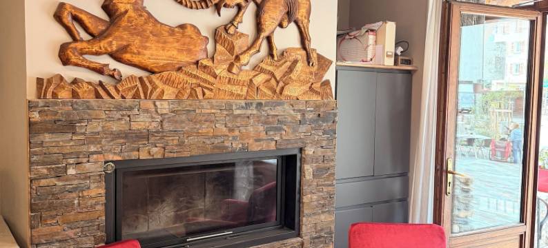 阿尔卑斯酒店(Hotel des Alpes)图片