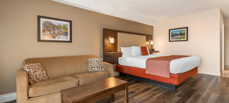 科洛尼尔贝斯特韦斯特酒店(Best Western Smiths Falls Hotel)图片