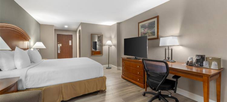 马纳萨斯贝斯特韦斯特酒店(Best Western Manassas)图片