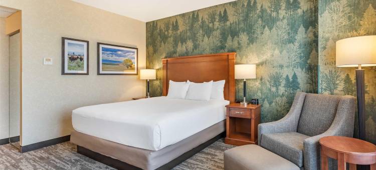 丹佛中央公园德鲁里套房酒店(Drury Plaza Hotel Denver Central Park)图片