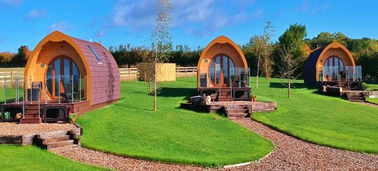 Glamping Pod in Yorkshire Wolds near York图片
