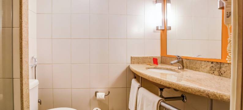 宜必思里约热内卢博塔弗戈酒店(ibis Rio de Janeiro Botafogo)图片