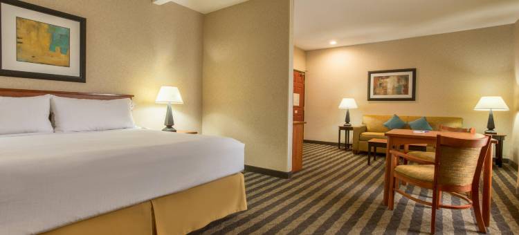 智选假日套房酒店曼特卡南 - 斯托克顿区(Holiday Inn Express & Suites MANTECA CITY CENTER by IHG)图片