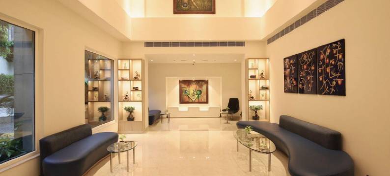 德里机场 Lemon Tree 酒店(Lemon Tree Hotel, Delhi Airport)图片