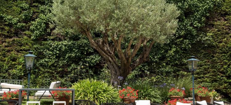 卡尔卡松希特门美居酒店(Hôtel Mercure Carcassonne la Cité)图片