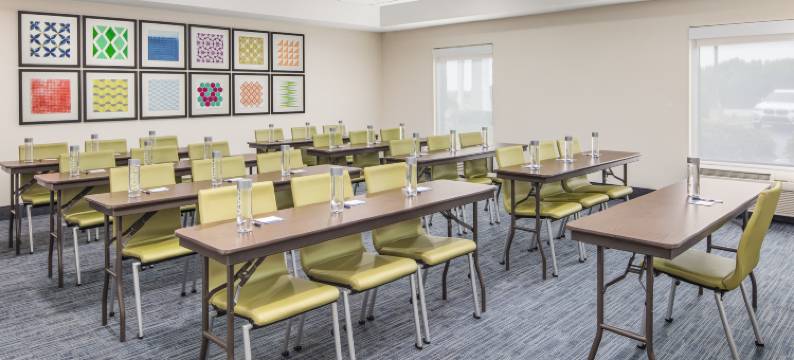 格林维尔-斯巴达堡-邓肯智选假日套房酒店(Holiday Inn Express & Suites GREENVILLE-SPARTANBURG(DUNCAN) by IHG)图片