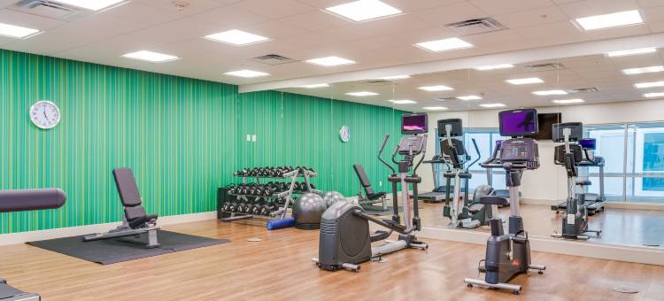 拉塞尔维尔套房智选假日酒店(Holiday Inn Express & Suites Russellville)图片