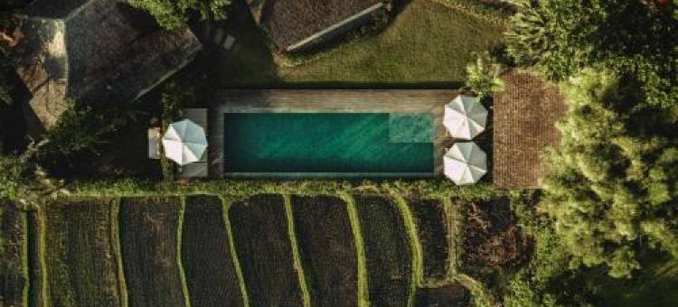 马吉亚德乌玛，设计酒店成员(Magia De Uma, a member of Design Hotels)图片