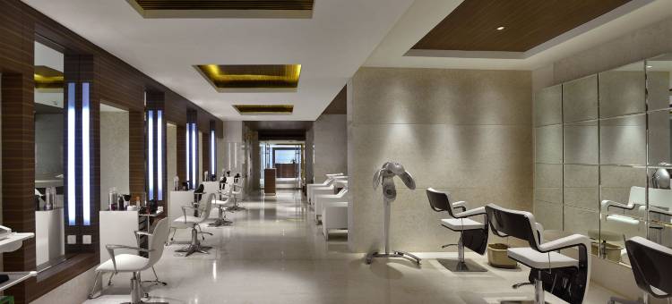 拉利特昌迪格酒店(The Lalit Chandigarh)图片