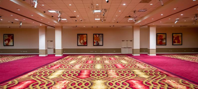 黄金斯特里科娱乐场酒店(Gold Strike Casino Resort)图片