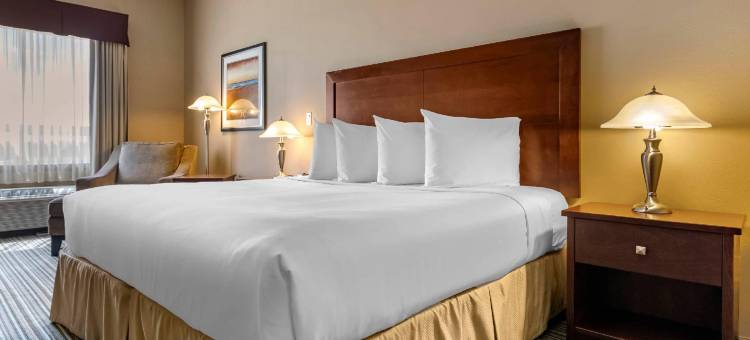 凯艺套房酒店(Quality Inn & Suites)图片