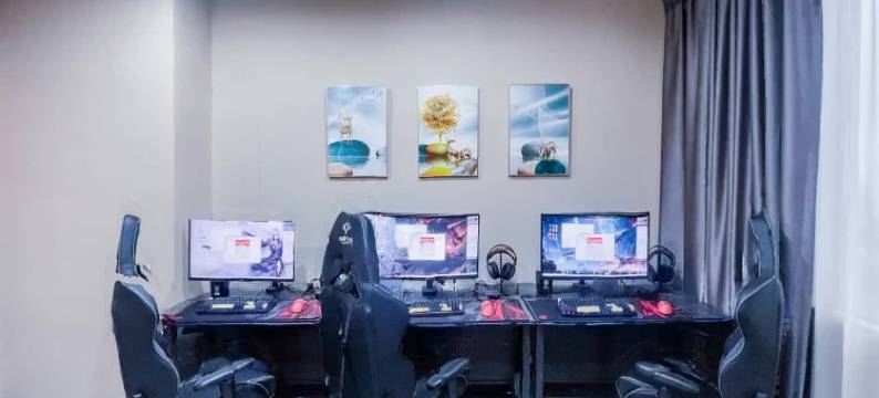 银狐电竞公寓(惠州水口龙湖大道店)图片