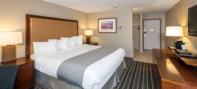 克拉丽奥精选(Clarion Pointe)图片