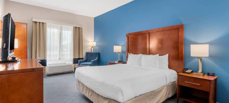 舒适套房酒店(Comfort Inn & Suites)图片