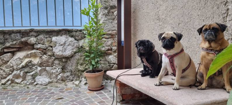 卢侃达阿尔卡斯特酒店(Locanda Al Castelletto)图片